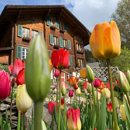 Chalet Schiltwald Innerwengen Kültér fotó