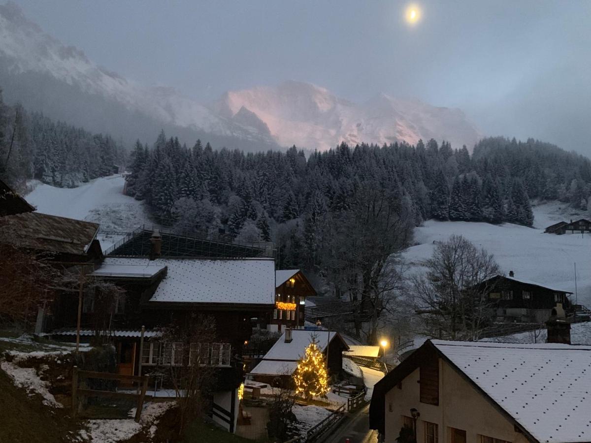 Chalet Schiltwald Innerwengen Kültér fotó