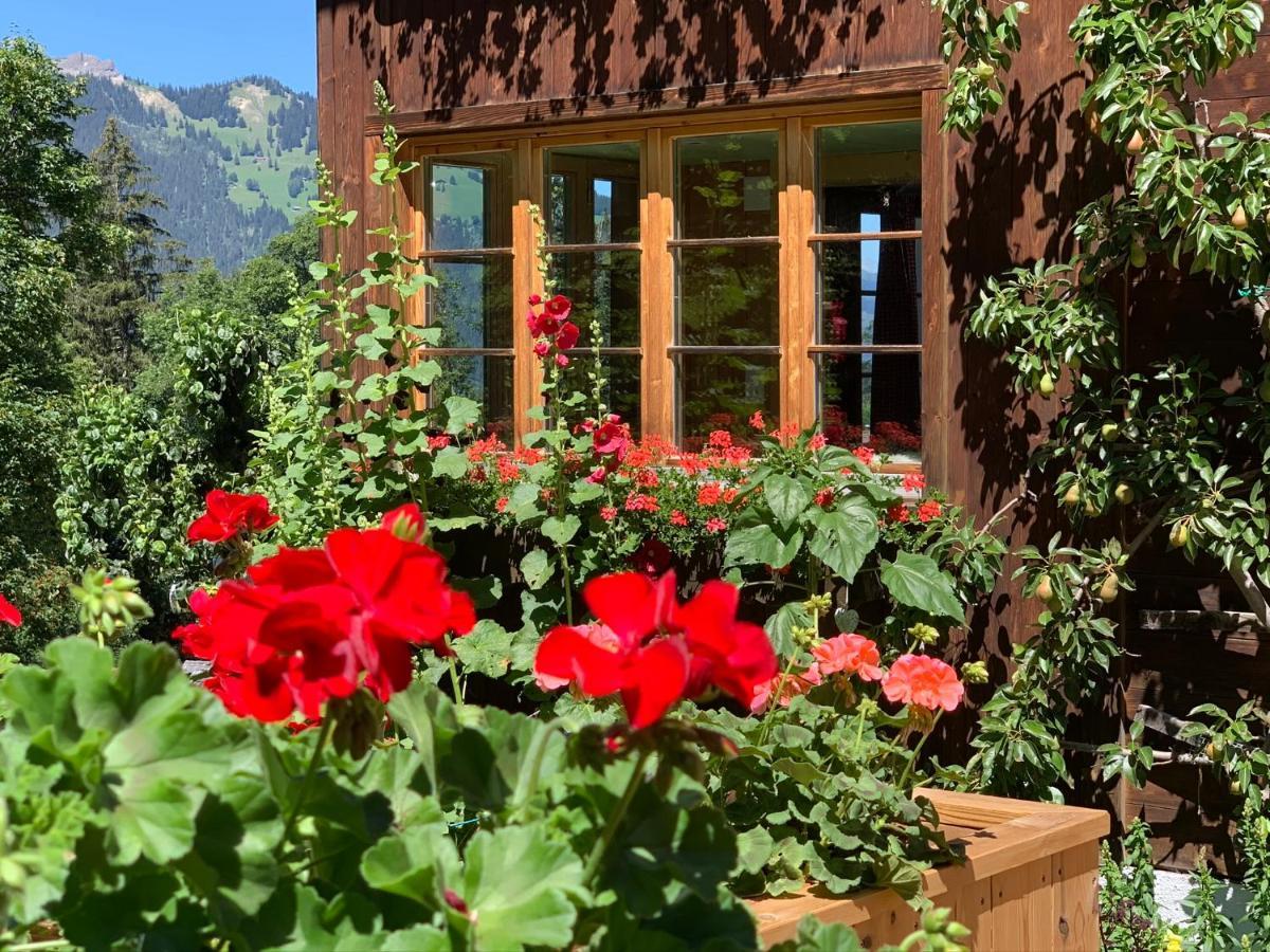 Chalet Schiltwald Innerwengen Kültér fotó