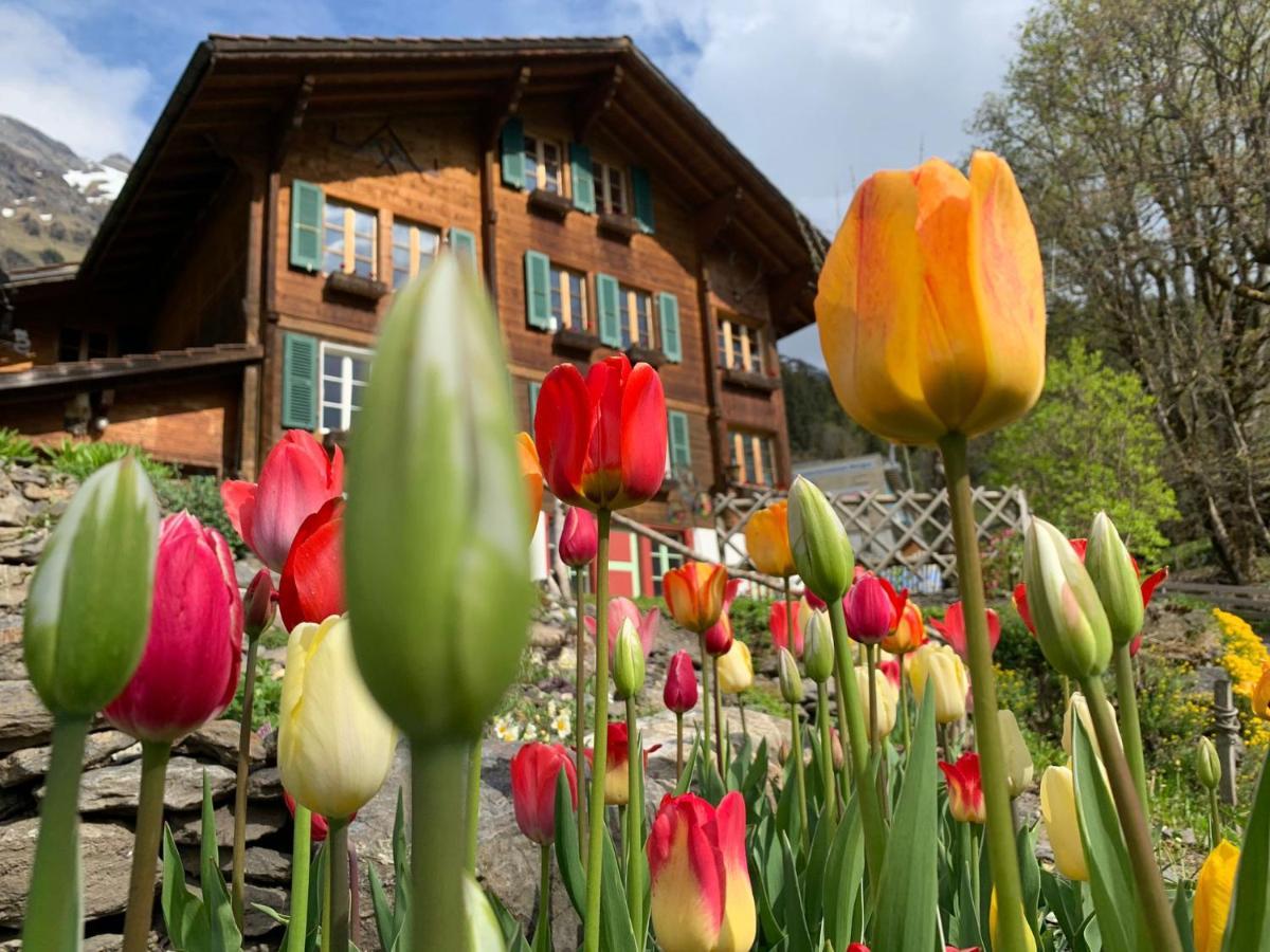 Chalet Schiltwald Innerwengen Kültér fotó